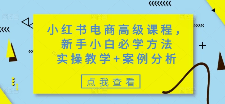 小红书电商高级课程，新手小白必学方法，实操教学+案例分析 - 搞薯条网-搞薯条网