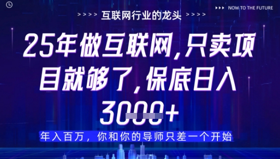 什么！25年你还在找项目做？风口早就变了，卖项目才是稳挣不赔【揭秘】 - 搞薯条网-搞薯条网