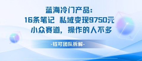 蓝海项目：16条笔记私域变现9750米小众赛道操作的人不多 - 搞薯条网-搞薯条网