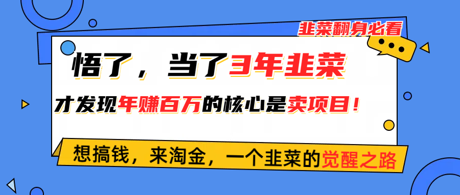 悟了，当了3年韭菜，才发现网赚圈年赚100万的核心是卖项目，含泪分享！ - 搞薯条网-搞薯条网