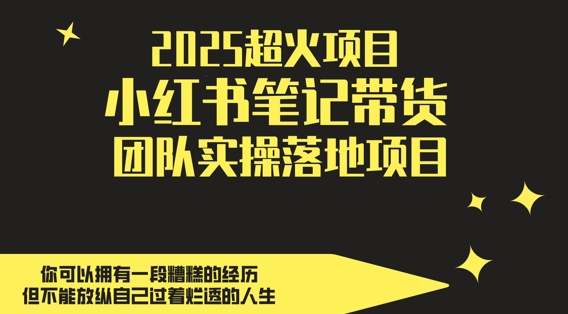 2025超火项目，副业最佳选择，小红书笔记带货团队实操落地项目，，轻松日入5张 - 搞薯条网-搞薯条网
