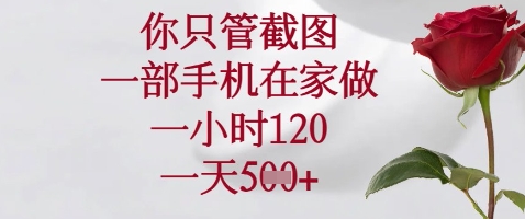 你只管截图，一部手机在家做，苹果安卓都可以，一小时120，一天5张+【揭秘】 - 搞薯条网-搞薯条网