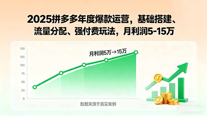 2025拼多多年度爆款运营，基础搭建、流量分配、强付费玩法，月利润5-15万 - 搞薯条网-搞薯条网