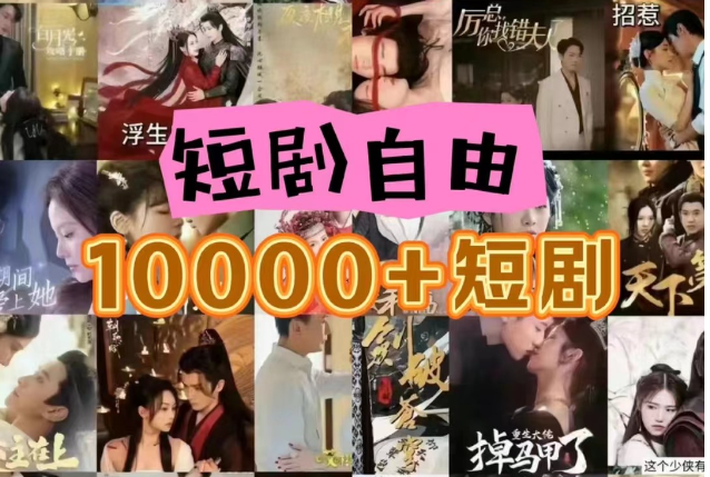 打造完全属于自己的个人短剧库，实现网盘拉新与私域变现的完美融合！ - 搞薯条网-搞薯条网