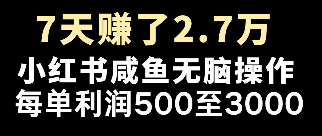 最赚钱项目之一，2025爆火，逆风翻盘！ - 搞薯条网-搞薯条网