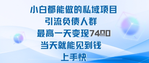 2025年小白都能做的私域项目引流负债人群最高一天变现1k+高变现难度低当天就能见到钱上手快-搞薯条网