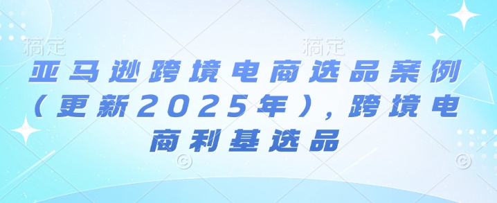 亚马逊跨境电商选品案例(更新2025年3月)，跨境电商利基选品 - 搞薯条网-搞薯条网