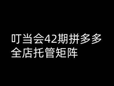 叮当会拼多多打爆班原创高阶技术第42期，拼多多全店托管矩阵 - 搞薯条网-搞薯条网