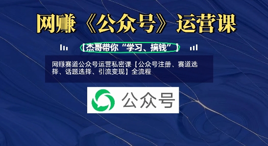 网创赛道公众号运营私密课【公众号注册、赛道选择、话题选择、引流变现】全流程 - 搞薯条网-搞薯条网