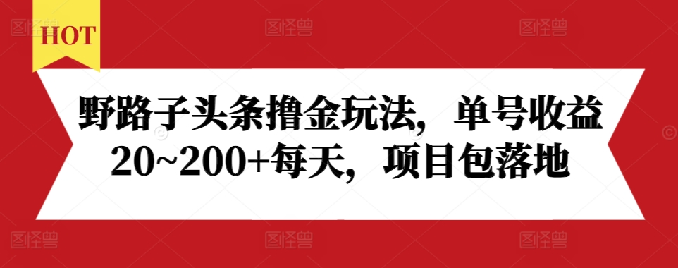 野路子头条撸金玩法，单号收益20~200+每天，项目包落地 - 搞薯条网-搞薯条网