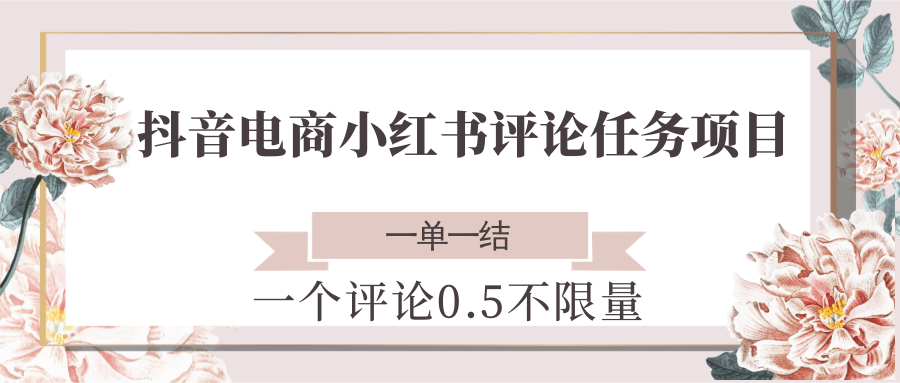 抖音电商小红书评论任务项目，一个评论0.5，一单一结 不限量 - 搞薯条网-搞薯条网
