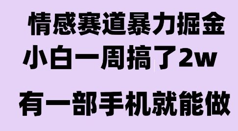 情感暴力掘金项目，新人操作一周挣了2W，长期稳定小白可做【揭秘】 - 搞薯条网-搞薯条网