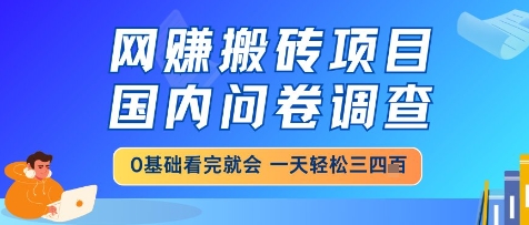 网创搬砖项目，国内问卷调查，小白轻松上手，一天三四张的也不难，干就完了【揭秘】 - 搞薯条网-搞薯条网
