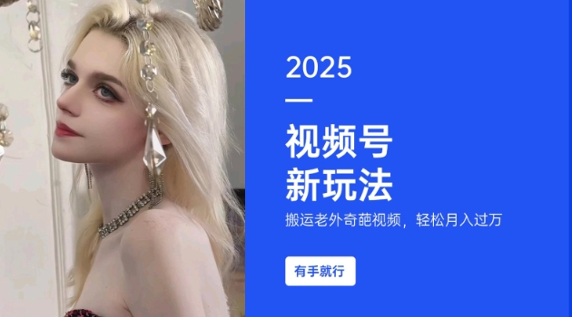 搬运老外奇葩视频，撸视频号分成计划收益，每天只需一小时，新手小白轻松月入过W - 搞薯条网-搞薯条网