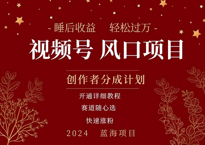 拥有睡眠收益的微信视频号大风口项目，轻松月入过万+，多赛道选择，可… - 搞薯条网-搞薯条网
