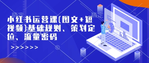 小红书运营课(图文+短视频)基础规则、策划定位、流量密码 - 搞薯条网-搞薯条网