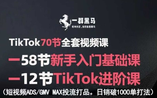 TikTok全套视频课，新手入门+进阶课，短视频ADS-GMV MAX投流打品，日销破1000单打法 - 搞薯条网-搞薯条网