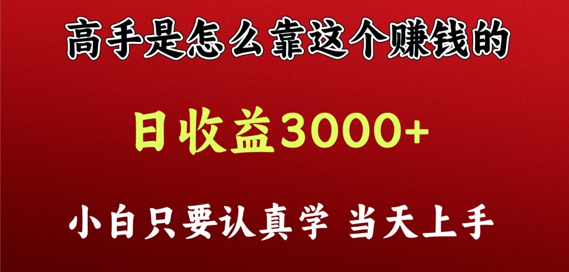 看高手是怎么赚钱的，一天收益至少3000+以上，小白当天上手 - 搞薯条网-搞薯条网
