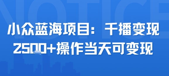 小众蓝海项目，千播变现2.5k+操作当天可变现 - 搞薯条网-搞薯条网