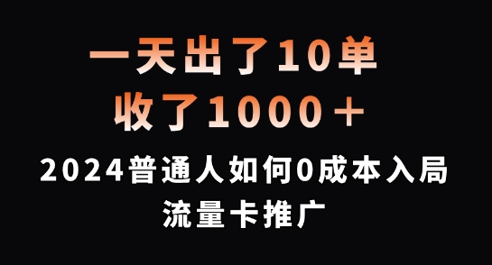 一天出了10单，收了1000+，2024普通人如何0成本入局流量卡推广【揭秘】-搞薯条网 - 搞薯条网-搞薯条网