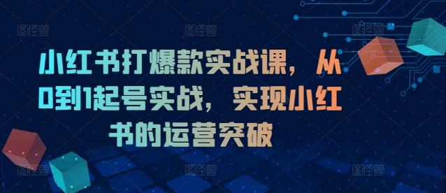 小红书打爆款实战课，从0到1起号实战，实现小红书的运营突破 - 搞薯条网-搞薯条网