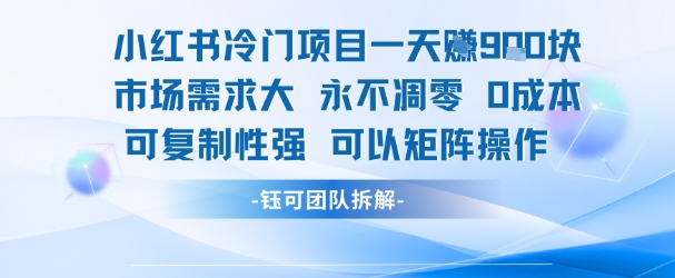 小红书冷门项目一天收益9张，市场需求大，0成本，可复制性强可以矩阵操作 - 搞薯条网-搞薯条网