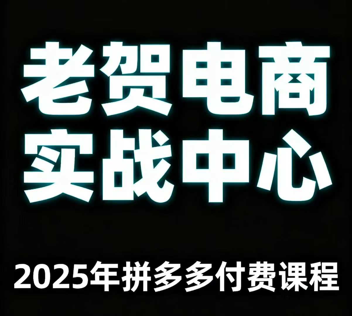 老贺电商2025年拼多多付费课程，用通俗易懂的方法告诉你多多怎么玩 - 搞薯条网-搞薯条网