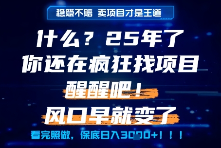 什么？25年你还在疯狂找项目做，醒醒吧，看完这些你全都懂了！【揭秘】 - 搞薯条网-搞薯条网