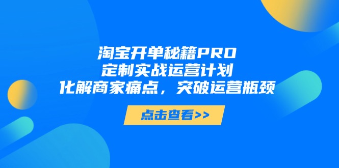 淘宝开单秘籍PRO，定制实战运营计划，化解商家痛点，突破运营瓶颈 - 搞薯条网-搞薯条网