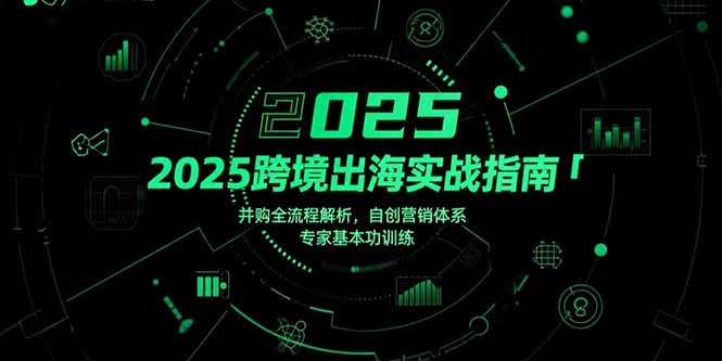 2025跨境出海实战指南，并购全流程解析，自创营销体系，专家基本功训练 - 搞薯条网-搞薯条网