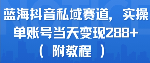 蓝海抖音私域赛道，实操单账号当天变现288+(附教程) - 搞薯条网-搞薯条网