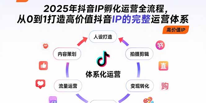 2025年抖音IP孵化运营全流程，从0到1打造高价值抖音IP的完整运营体系 - 搞薯条网-搞薯条网