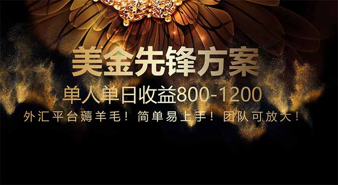 免费技术！小众赛道！一年布局抵三年努力，每日800+ - 搞薯条网-搞薯条网