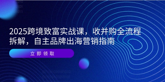 2025跨境致富实战课，收并购全流程拆解，自主品牌出海营销指南 - 搞薯条网-搞薯条网