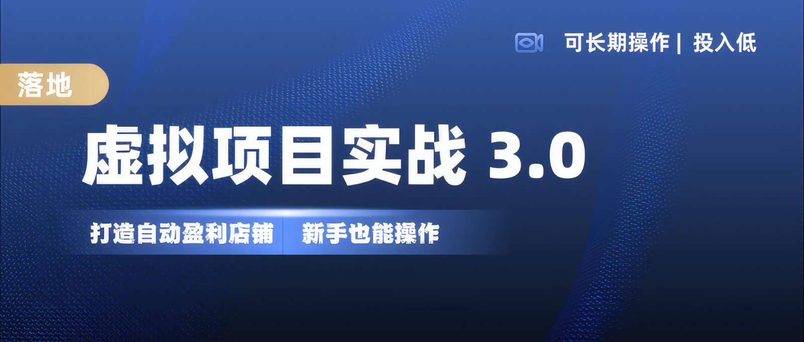 虚拟项目实操落地 3.0,新手轻松上手，单品月入1W+ - 搞薯条网-搞薯条网