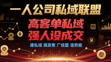 一人公司私域联盟，高客单私域，强人设成交，建私域 搞发售 广结盟 造势能 - 搞薯条网-搞薯条网