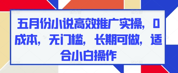 五月份小说高效推广实操，0成本，无门槛，长期可做，适合小白操作 - 搞薯条网-搞薯条网