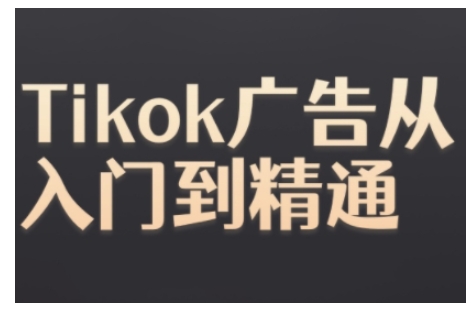Tiktok Ads实操教程，Tiktok广告从入门到精通 - 搞薯条网-搞薯条网