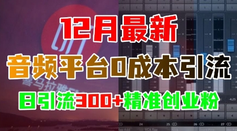 12月最新：音频平台0成本引流，日引流300+精准创业粉 - 搞薯条网-搞薯条网