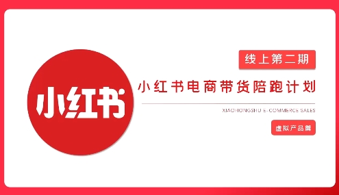2025小红书虚拟电商实战课，从0到1打造无货源店铺，AI+爆款笔记轻松变现 - 搞薯条网-搞薯条网