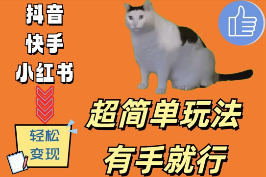 超简单玩法，有手就行，靠猫咪视频日入500+【揭秘】 - 搞薯条网-搞薯条网