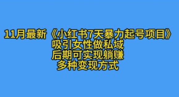 K总部落11月最新小红书7天暴力起号项目，吸引女性做私域【揭秘】 - 搞薯条网-搞薯条网