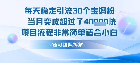 每天稳定引流30个人 当月变成超过了4个W项目流程非常简单适合小白 - 搞薯条网-搞薯条网