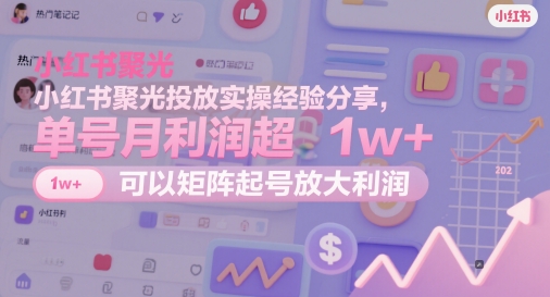 小红书聚光投放实操经验分享，单号月利润超1w+，可以矩阵起号放大利润 - 搞薯条网-搞薯条网