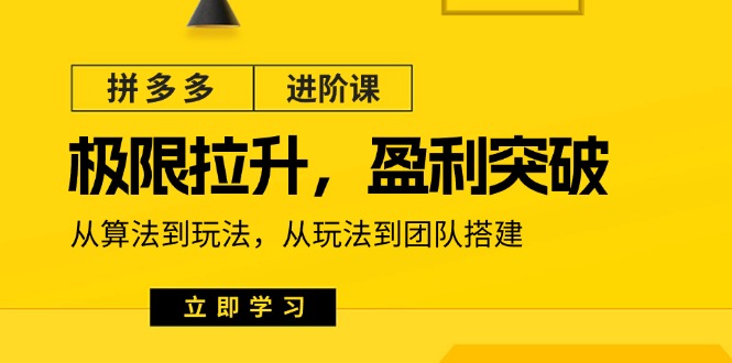 拼多多·进阶课：极限拉升/盈利突破：从算法到玩法 从玩法到团队搭建-18节 - 搞薯条网-搞薯条网