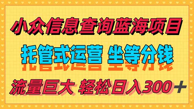 稳定日入300＋，小众信息查询蓝海项目，全程懒人式托管，解放你的时间 - 搞薯条网-搞薯条网