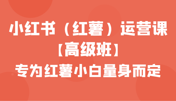 小红书(红薯)运营课【高级班】，专为红薯小白量身而定(42节课) - 搞薯条网-搞薯条网