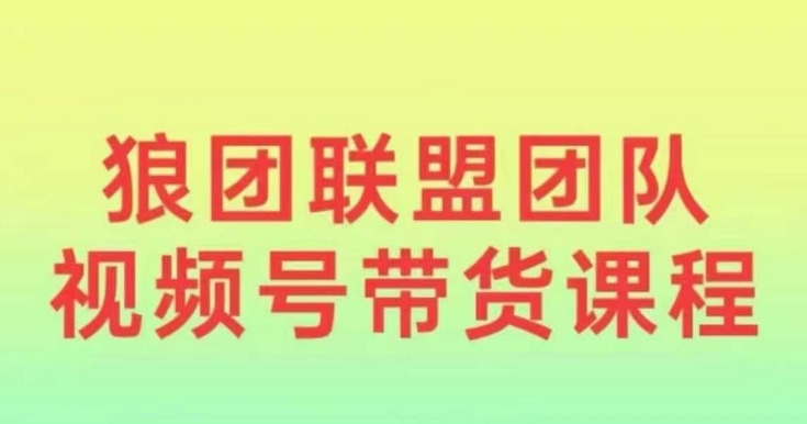 狼团联盟2024视频号带货，0基础小白快速入局视频号 - 搞薯条网-搞薯条网