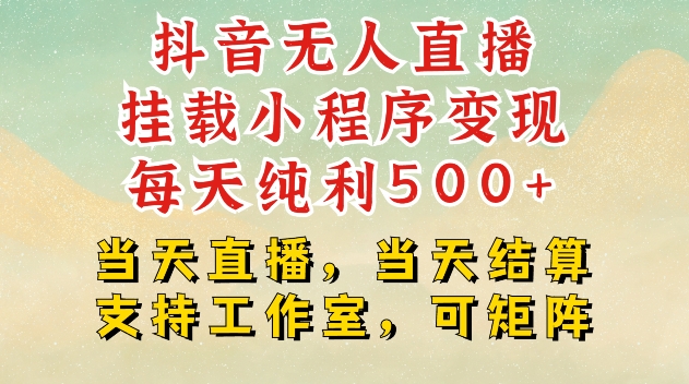 抖音无人直播挂载小程序变现每天纯利500+当天直播，当天结算支持工作室，可矩阵【揭秘】 - 搞薯条网-搞薯条网