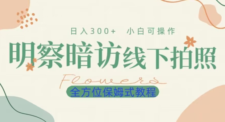 明拍暗拍项目0成本投入日入300+小白可操作保姆式全方位教程-森森项目库